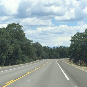 Howe, TX – Crash on N Collins Freeway Results in Injuries
