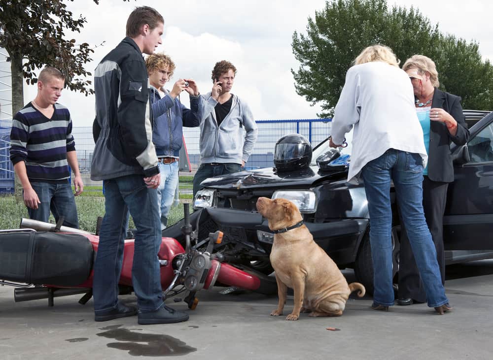 accident bystanders