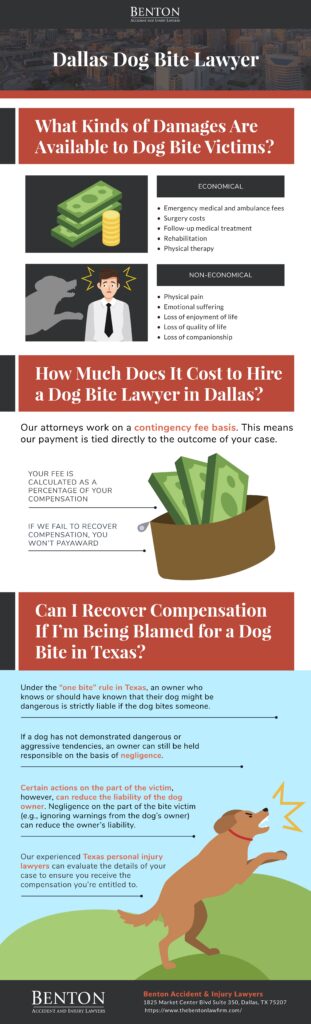 Dallas Dog Bite Lawyer Infographic